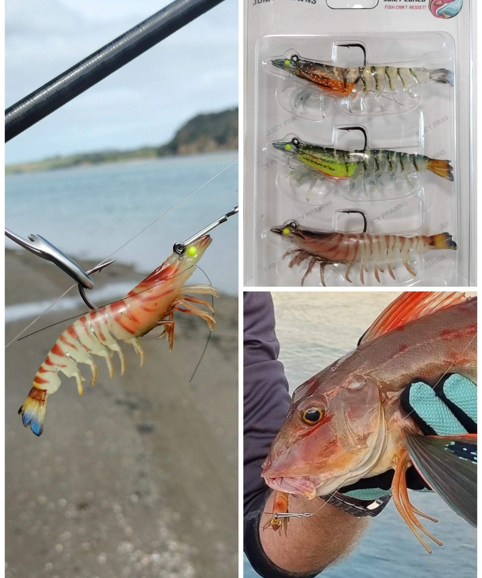 Juicy Prawn – The Lifelike Prawn Lure That Fish Can’t Resist - Ultimate Rod Racks NZ
