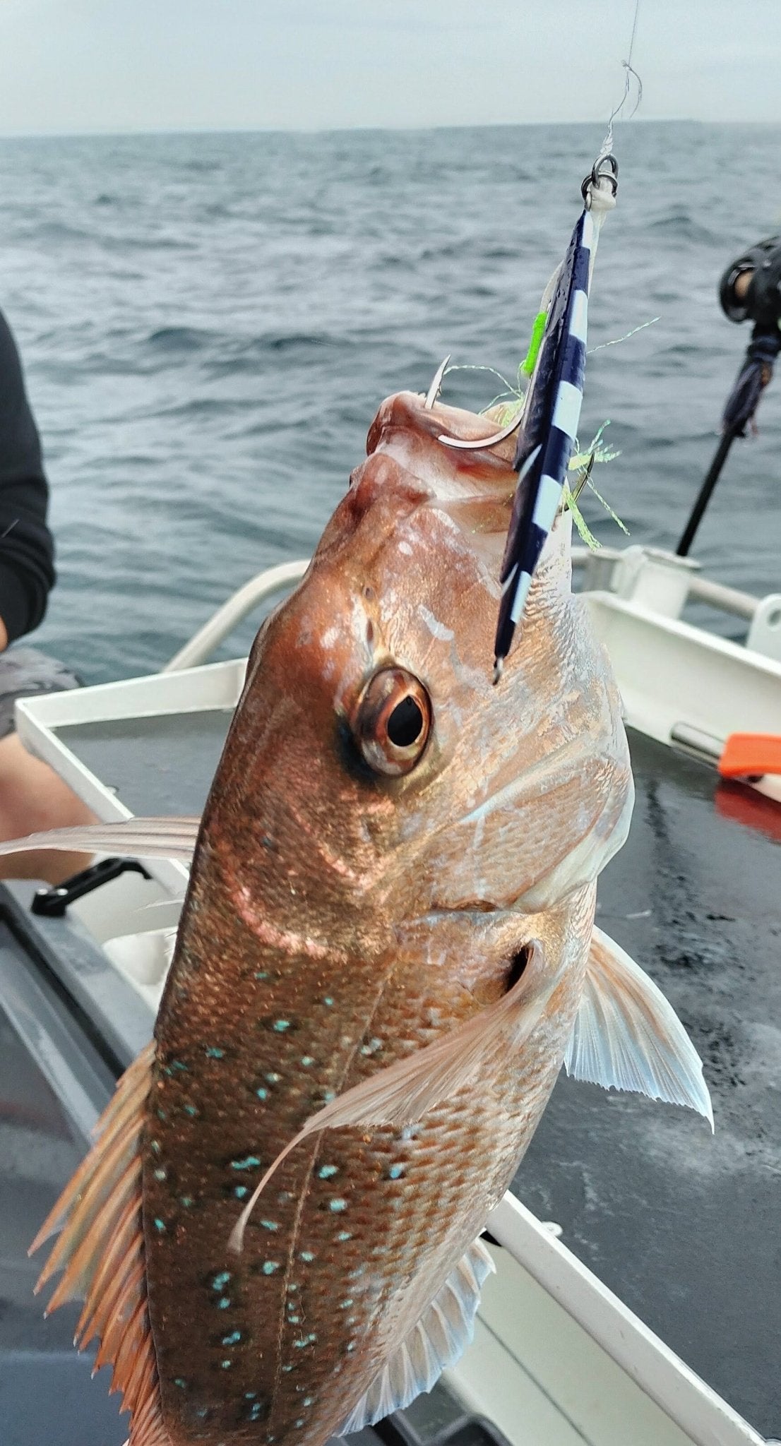 Grumpy old Man jig - Gr8nzlife
