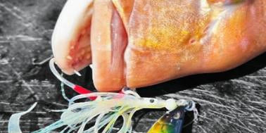 Quality Slow Pitch Jigs Lures & Rod