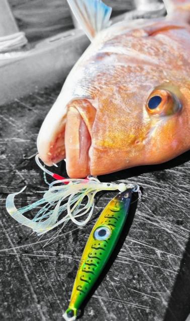 Quality Slow Pitch Jigs Lures &amp; Rod