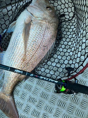 Battle H9 Micro Bait Rod 40T - Gr8nzlife