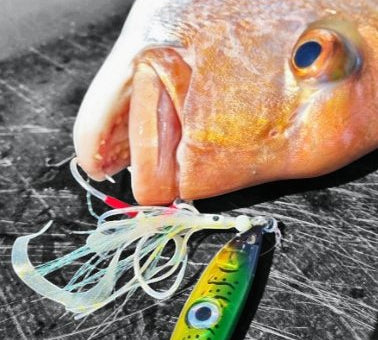 60gm - Ultimate Rod Racks NZ