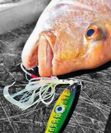 60gm - Ultimate Rod Racks NZ