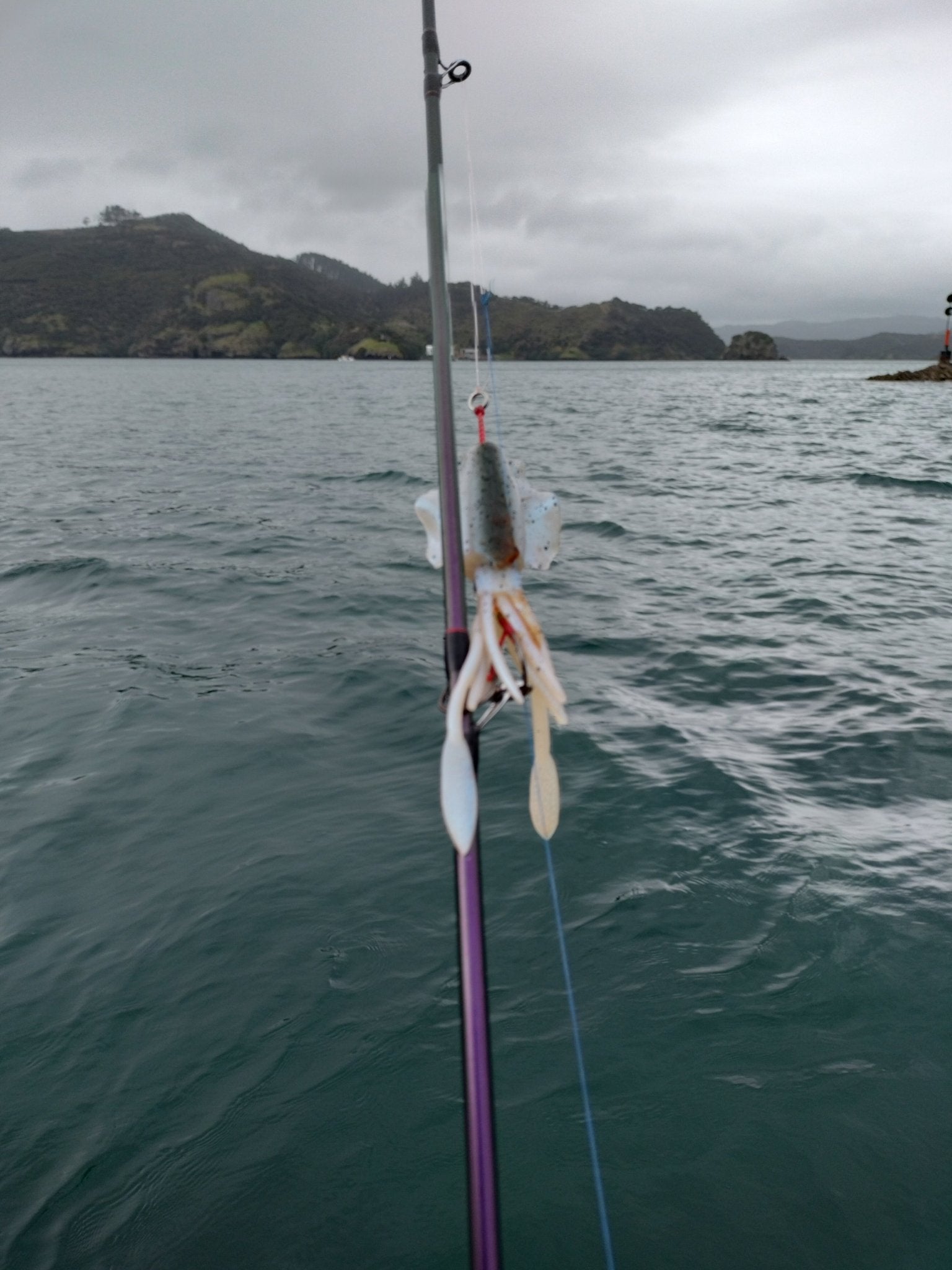 Juicy Glow Ultimate Squid Rig - Ultimate Rod Racks NZ