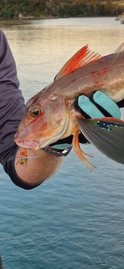 Juicy Prawn Range 90mm - Gr8nzlife