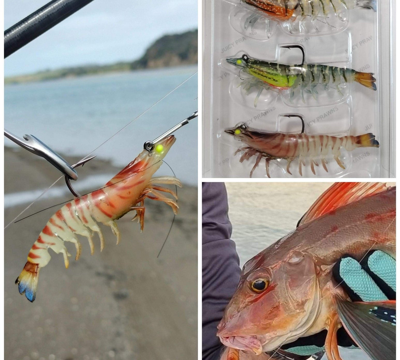 Juicy Prawn – The Lifelike Prawn Lure That Fish Can’t Resist - Ultimate Rod Racks NZ