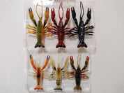 Coming Soon - Juicy Cray Cray 63mm 75mm - Gr8nzlife