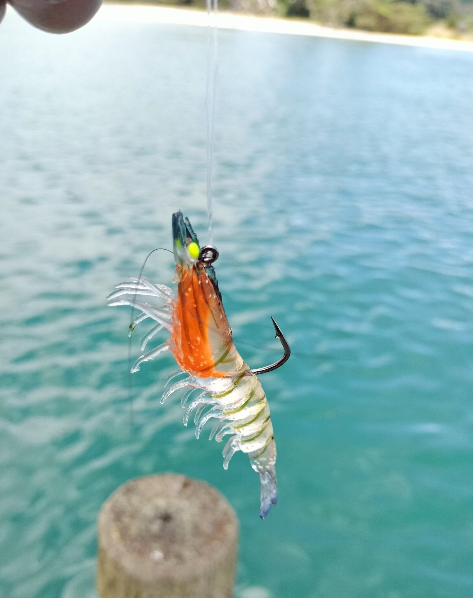 Juicy Prawn Range 90mm - Gr8nzlife